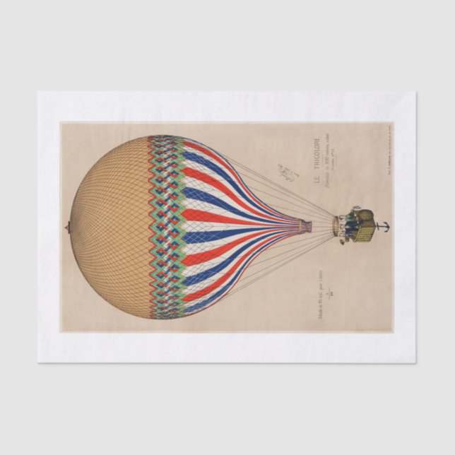 PAPEL DOS TECIDOS: BANHEIRO FRANCÊS (Frente )