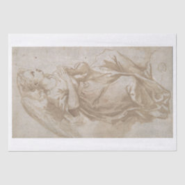 PAPEL DOS TECIDOS: UM ÂNGULO - 17º C