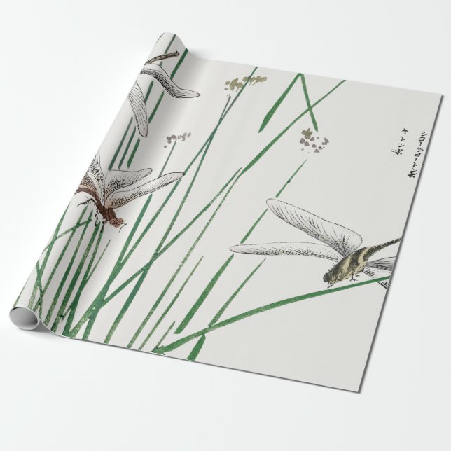 Papel DRAGONFLY — Papel de embrulho JAPONÊS (Desenrolado)