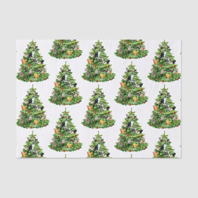 Papel em árvore de gatos (Frente )