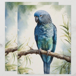 Papel Escrapbook Eucalyptus Parakeet Watercolor