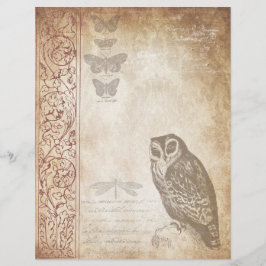 Papel Escrapbook Vintage Owl Envelhecido