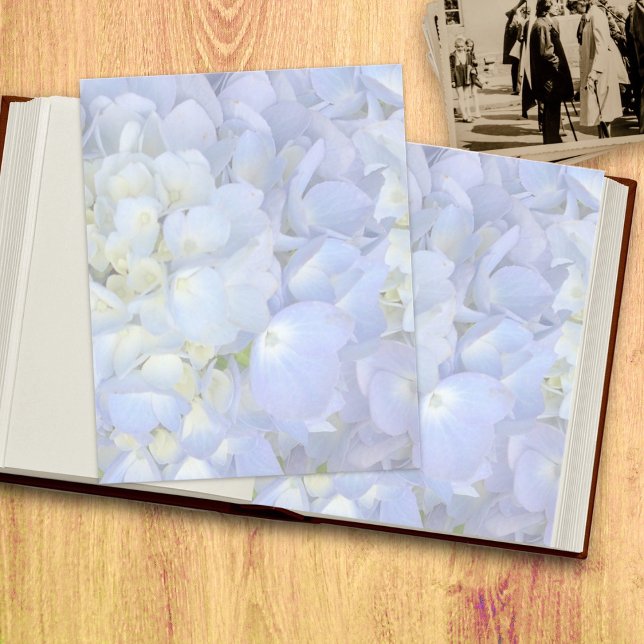 Papel Floral Azul Dupla Face em Branco para Impres (Criador carregado)