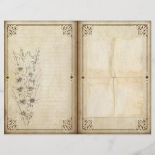 Papel floral do Diário do jardim do álbum de