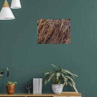 Papel Impressão, Poster (Semibrilho) e não lançado