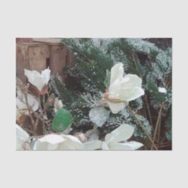 papel musselina Natal