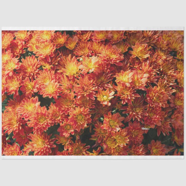 Papel no Tecido Flor (Frente )