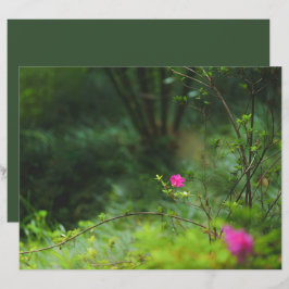 Papel para Álbum de Recortes Flor de Floresta Sonh