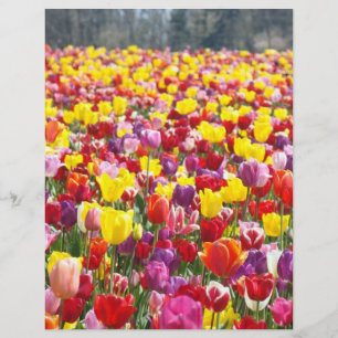 Papel para Flyers Tema Primavera Tulipa Flores
