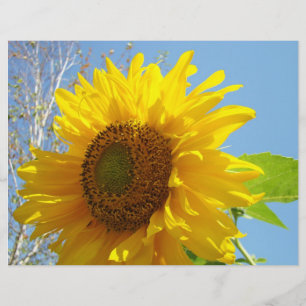 Papel para livros de girassol Amarelo Verão Floral