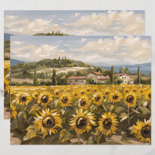 Papel para Paisagem em Campo de Girassol