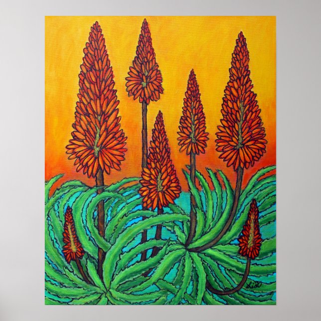Papel para Poster do Fireball sul-africano 16x20 ( (Frente)