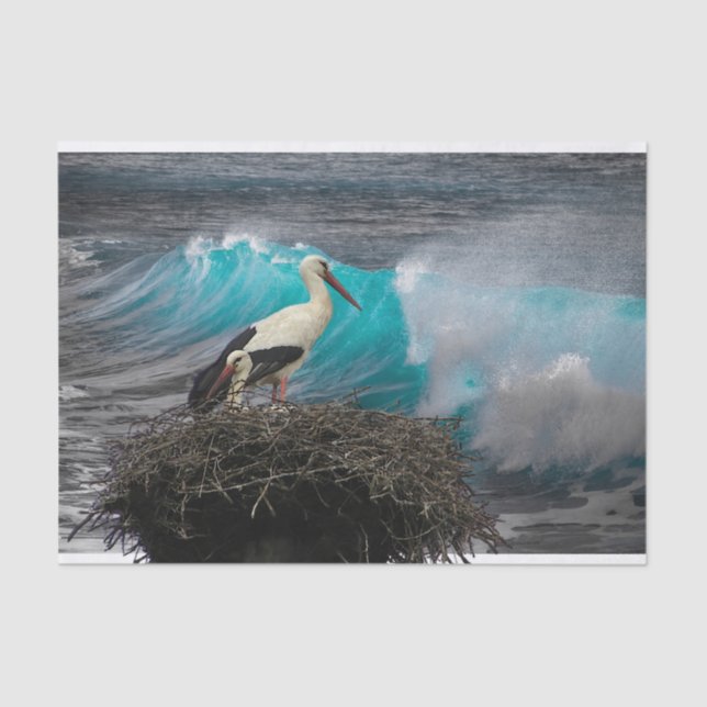 Papel para presentes nos tecidos com o oceano e o  (Frente )