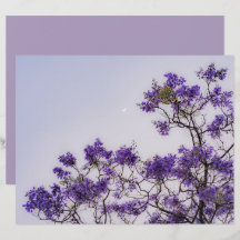 Papel para Scrapbook de árvore de primavera pastéi