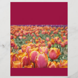 Papel para scrapbooking Flores de Tulipa Coloridas