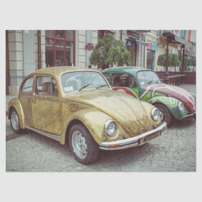 papel para tecidos de insetos (Frente )