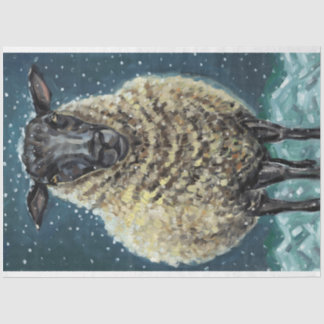 Papel para tecidos de ovelha