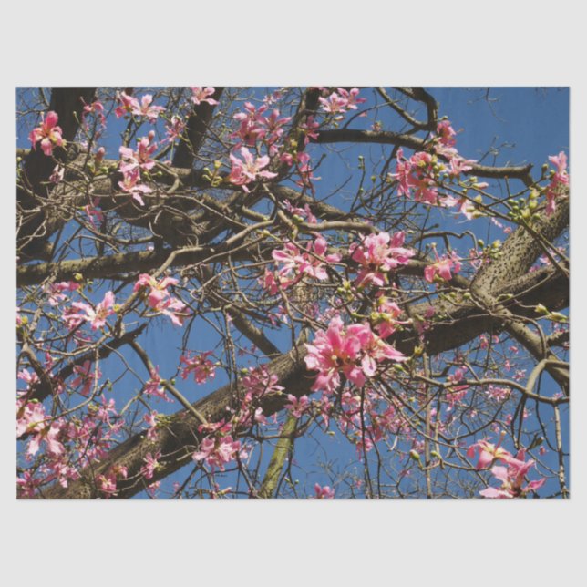 Papel para tecidos de torre de seda (Frente )