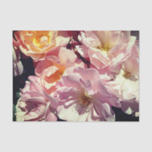 Papel para tecidos na Rosa de Verão