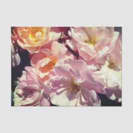 Papel para tecidos na Rosa de Verão