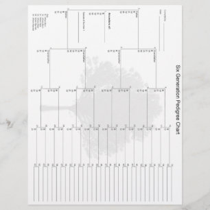 Papel Pedigótico de seis gerações