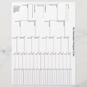 Papel Pedigótico de seis gerações