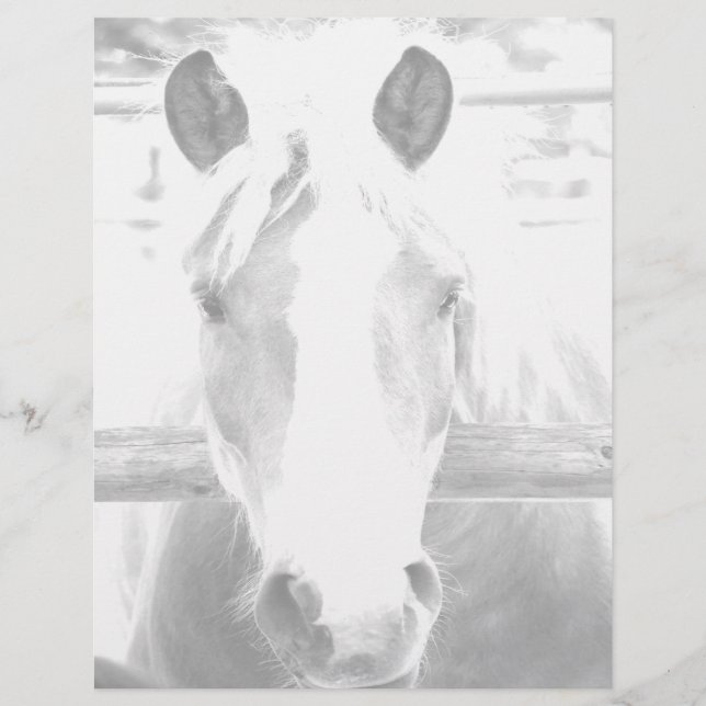 Papel pessoal (Frente)