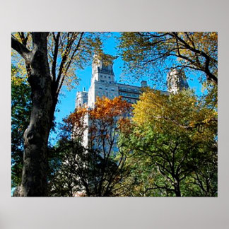 Papel Poster de 20" x 16", valor (Matte)