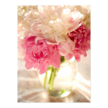 Papel Poster de Valor Floral Rosa (Matte)