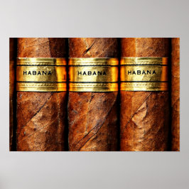 Papel poster (Matte)cubano, luxo