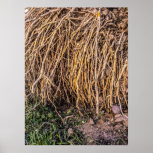 Papel Poster (Semibrilho), Impressão,, com 5 ponto