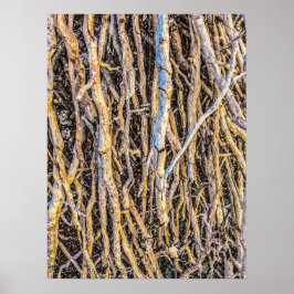 Papel Poster (Semibrilho), Impressão de 4 não inic