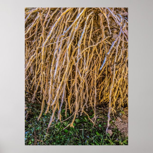 Papel Poster (Semibrilho), Impressão de 6 não inic (Frente)