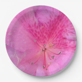 Papel Prato redondo de 9 polegadas 