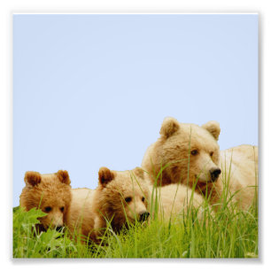 papel profissional da foto de 6x6 Kodak (cetim)