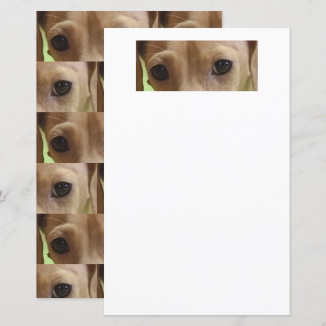 papel scrapbook cachorro dachshund creme olhos (Frente/Verso)