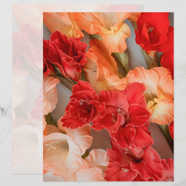 Papel Scrapbook de Flores de Gladíolo Vibrantes (Frente/Verso)
