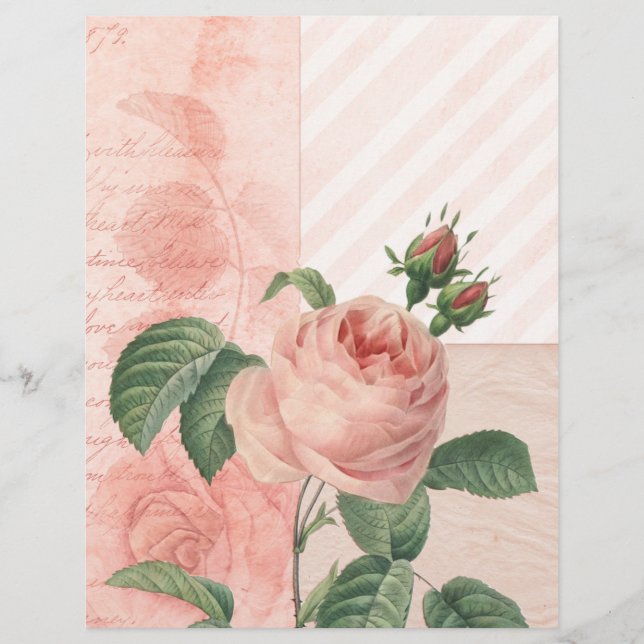 Papel Scrapbook Rosa Rosa Vintage (Frente)