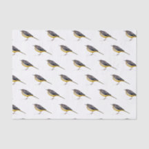 Papel seda  con acuarela de lavandera cascadeña