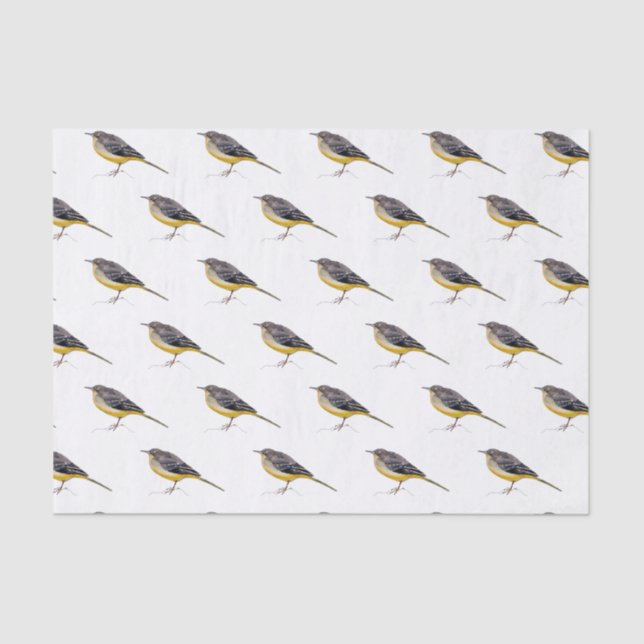 Papel seda  con acuarela de lavandera cascadeña (Frente )