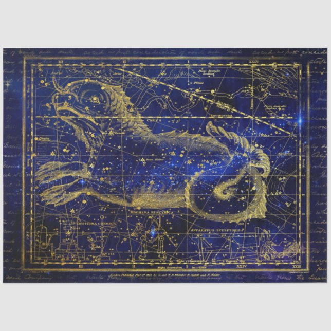 papel tecelular da constelação de feto (Frente )