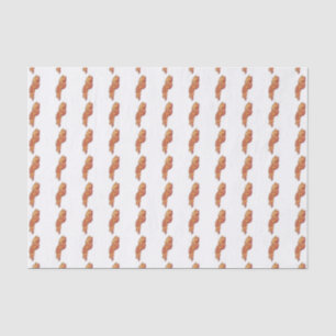 Papel Tecido Bacon