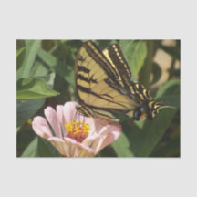 Papel Tecido borboleta