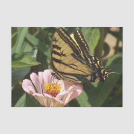 Papel Tecido borboleta