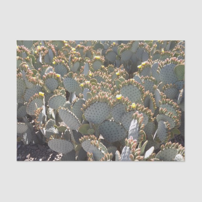 Papel Tecido Cactus (Frente )