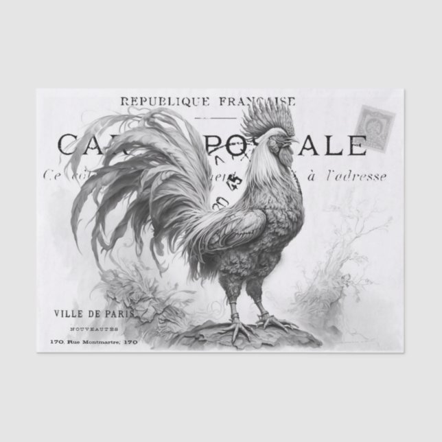 Papel Tecido de Arranque de Galinha (Frente )