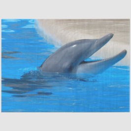 Papel Tecido de Decodificação de Golfinhos de Garg