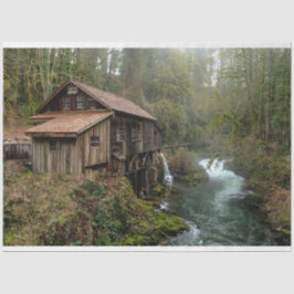 Papel Tecido de Decoupage 26 da Forest Cabin