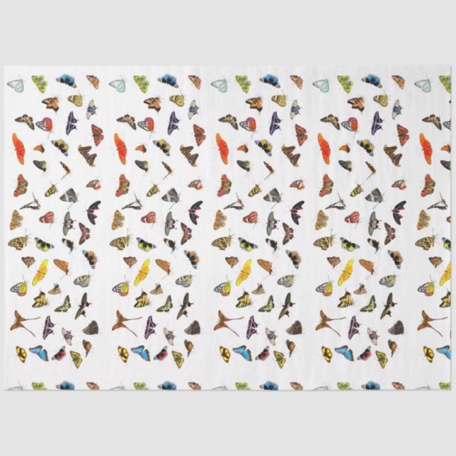 Papel Tecido de Decoupage da Coleção de Borboletas (Frente )