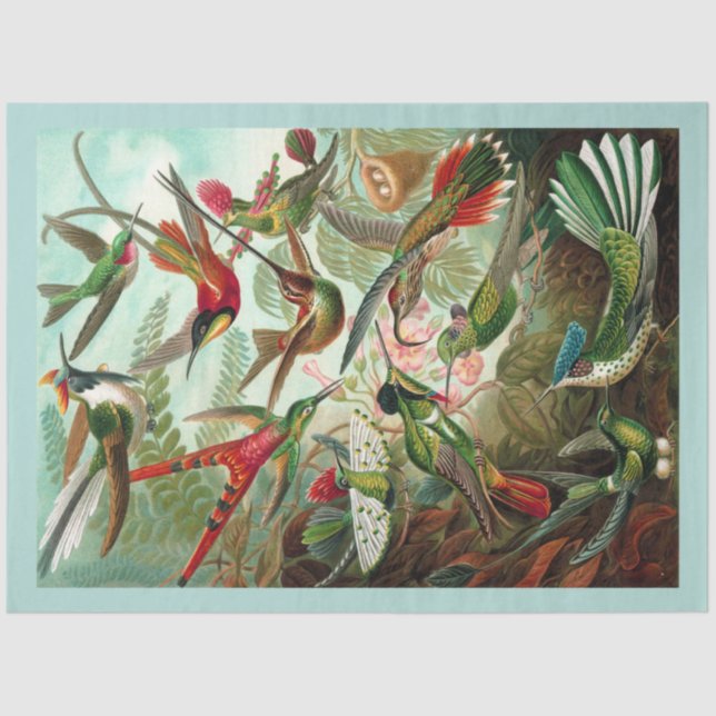 Papel Tecido de Decoupage de Aves Humanas (Frente )